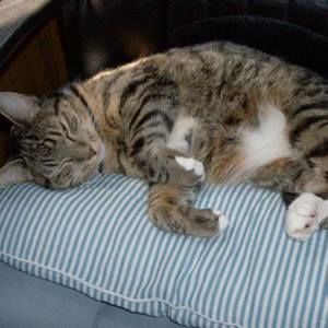 Meet your Posher, Denise